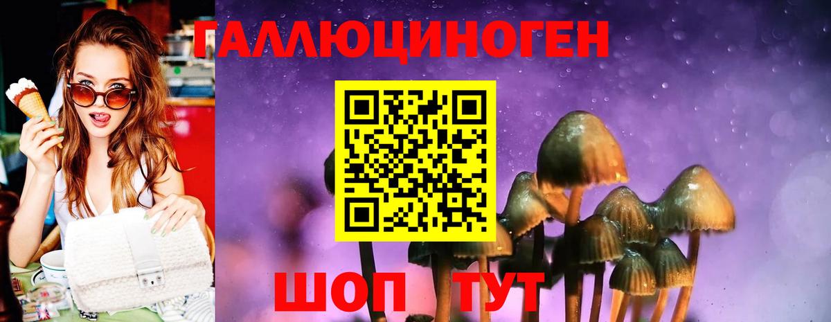 Галлюциногенные грибы Psilocybe  Галлюциногенные грибы Cubensis  Вход с VPN  Набережные Челны 
